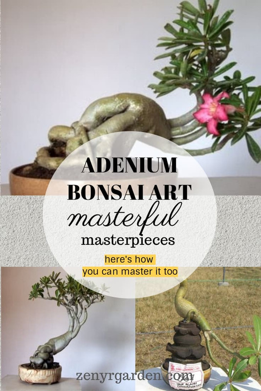 adenium-bonsai-art-sculpture-carving.jpg