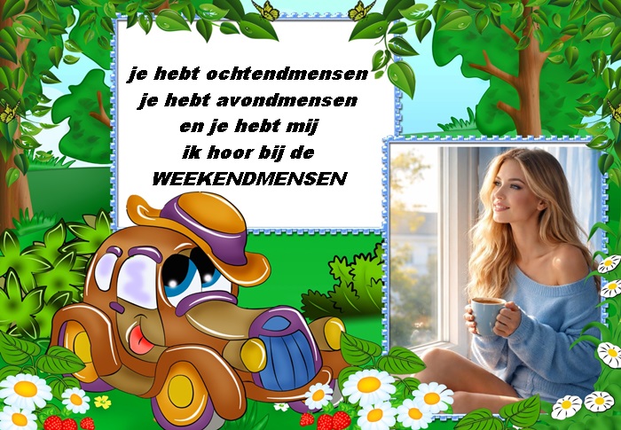 Klik op de afbeelding om de link te volgen