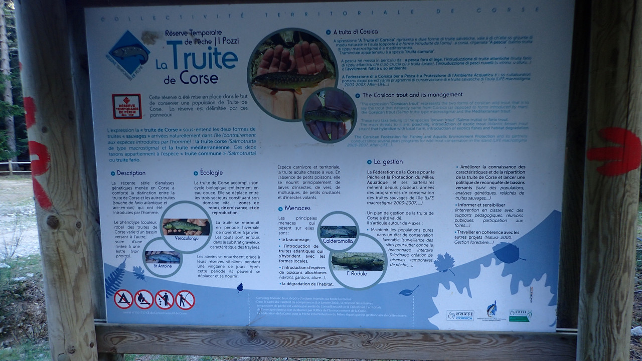 A4F01977-D177-495C-BA36-0215B335D01D