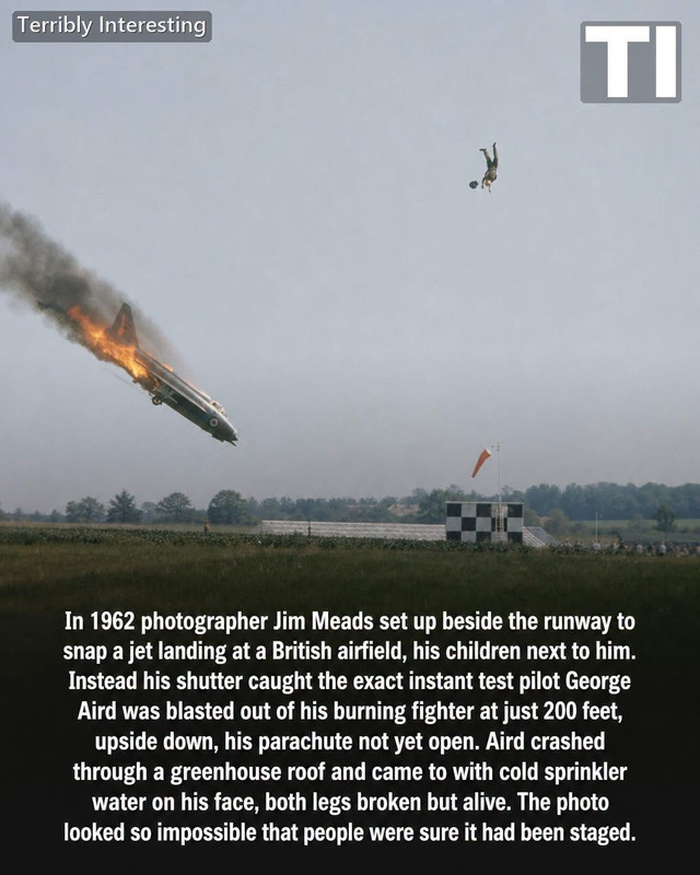 IMG 7683