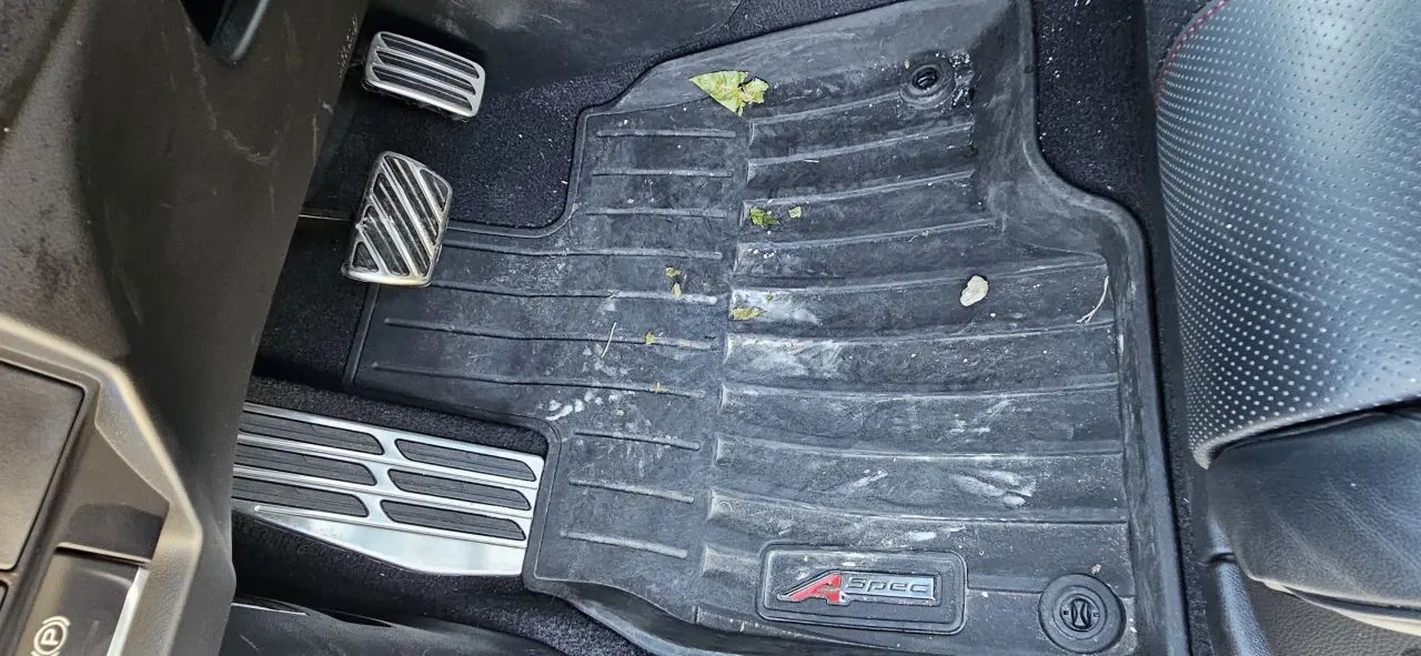 Auto detailing example image 3
