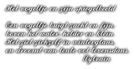 cooltext495518320652035