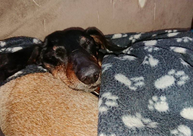 [Image: 20231117-.jpg]