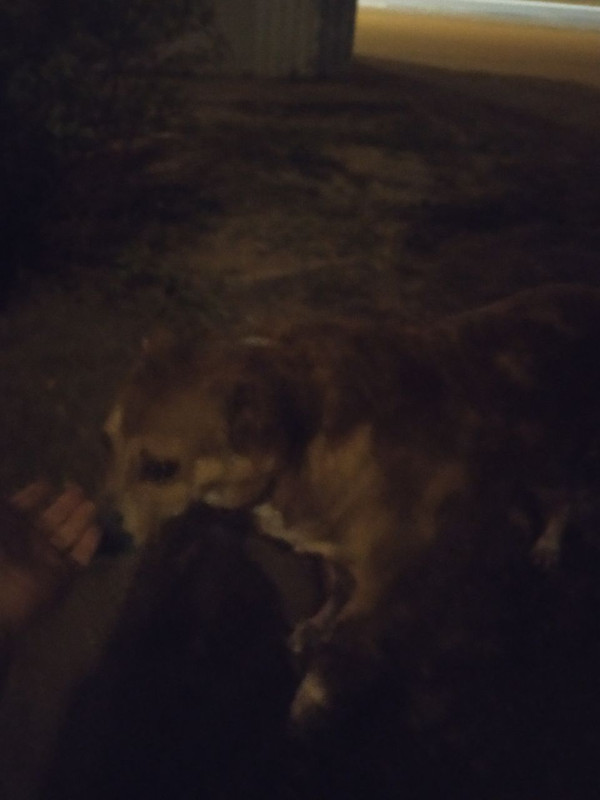 F8F8F26F-BFE3-4817-9690-466F7F34F55C