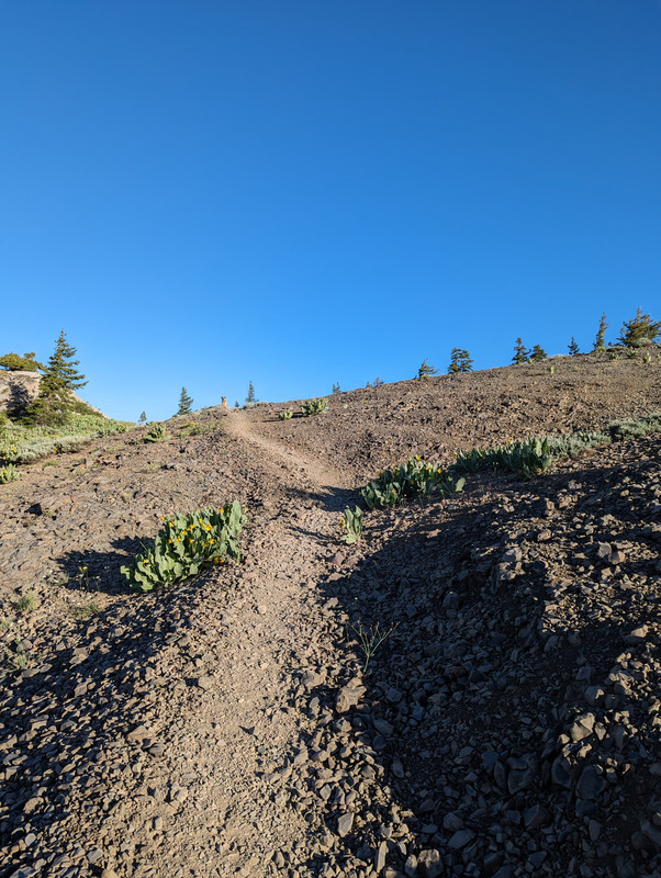 PXL_20250710_142251616