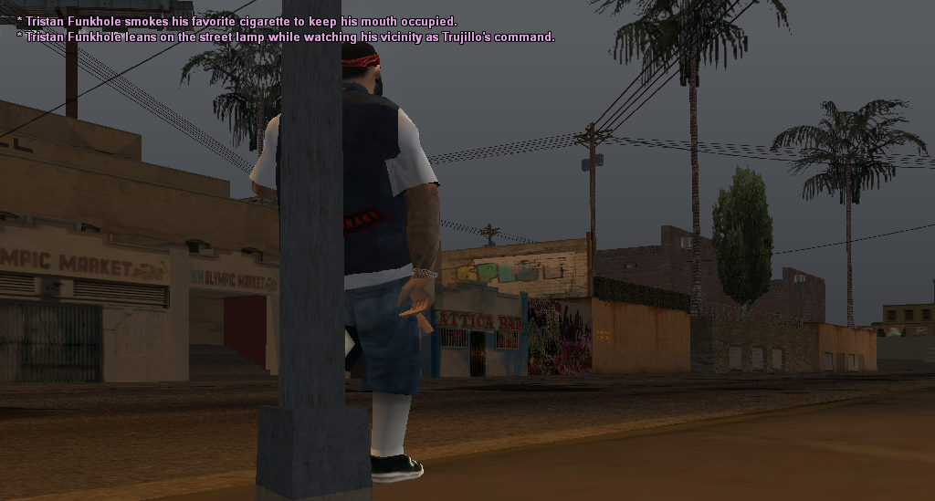 SSRP-294.png