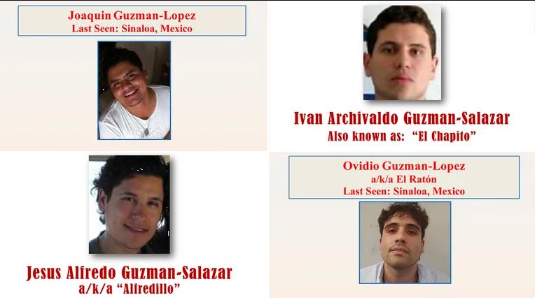 ¿Qué dicen los narcocorridos dedicados a “Los Chapitos”?