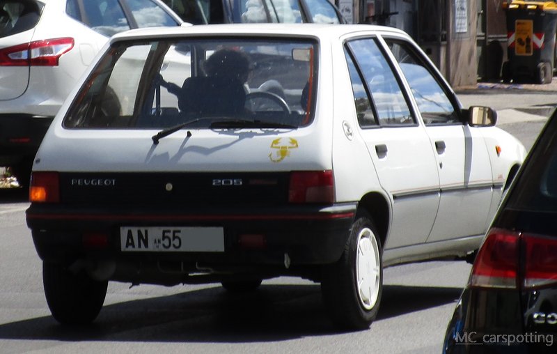IMG-4669.jpg