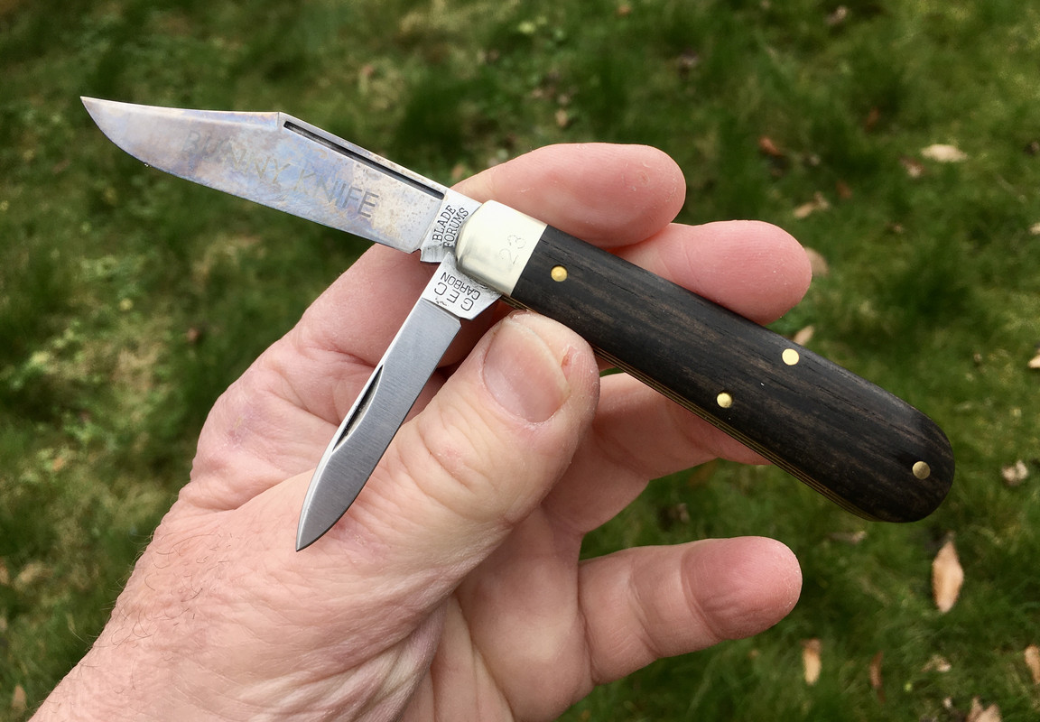 C264F299-E56D-4D8F-AE9F-19F99A1E1D59