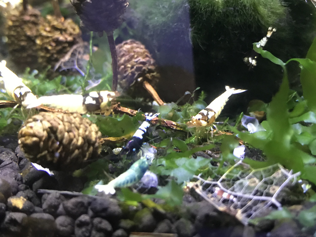 0049115A-4DF3-4722-BF33-00D95913C14B