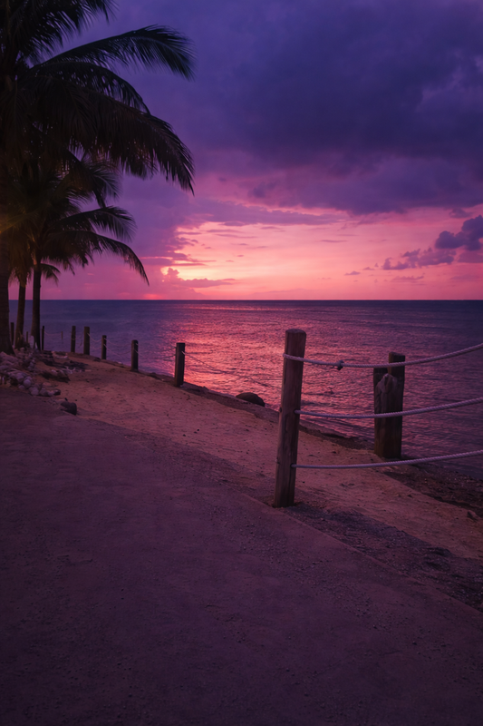 Vista Jamaica
