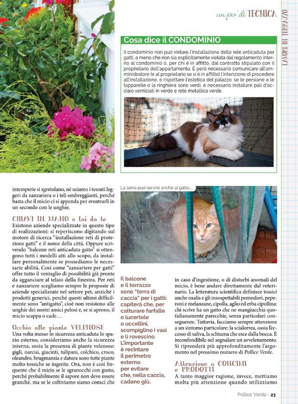 Pol Ver Set 2022 (2)