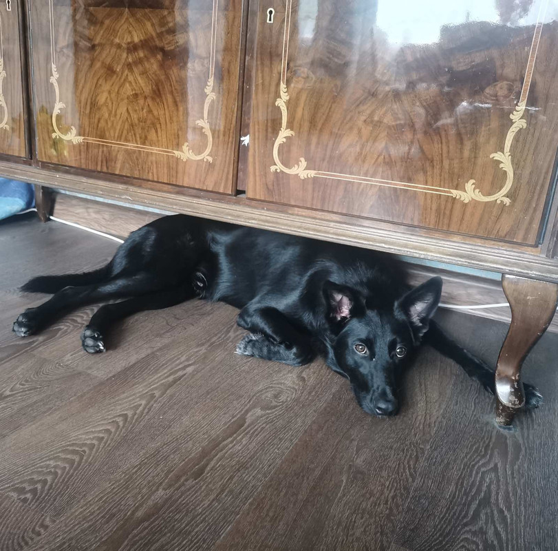 изображение_viber_2022-12-05_22-38-12-178