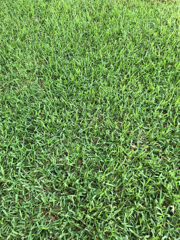 B312DA43-85C6-4158-BDF4-79A34FFB315B