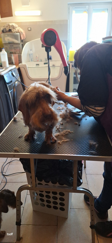 [Image: 20250305-114104.jpg]