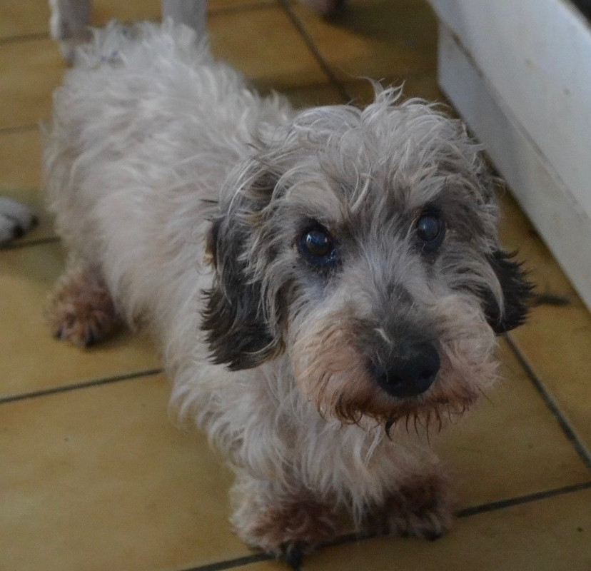 [Image: IMG-20240819-153852.jpg]