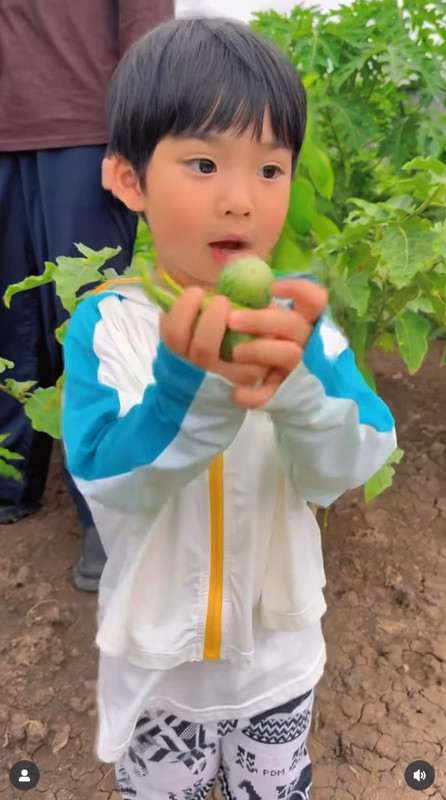 gal-9807354-20250625055025-e3fb066