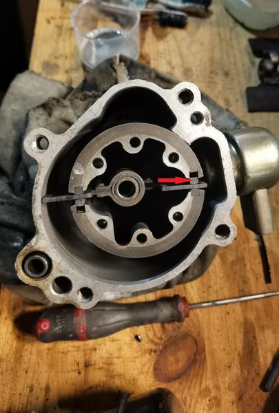 IMG 20251129 191408 2