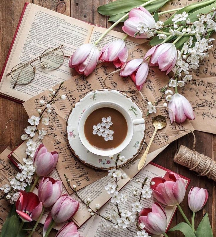 56b5c40d1c27bb4bb67eb9195caee137