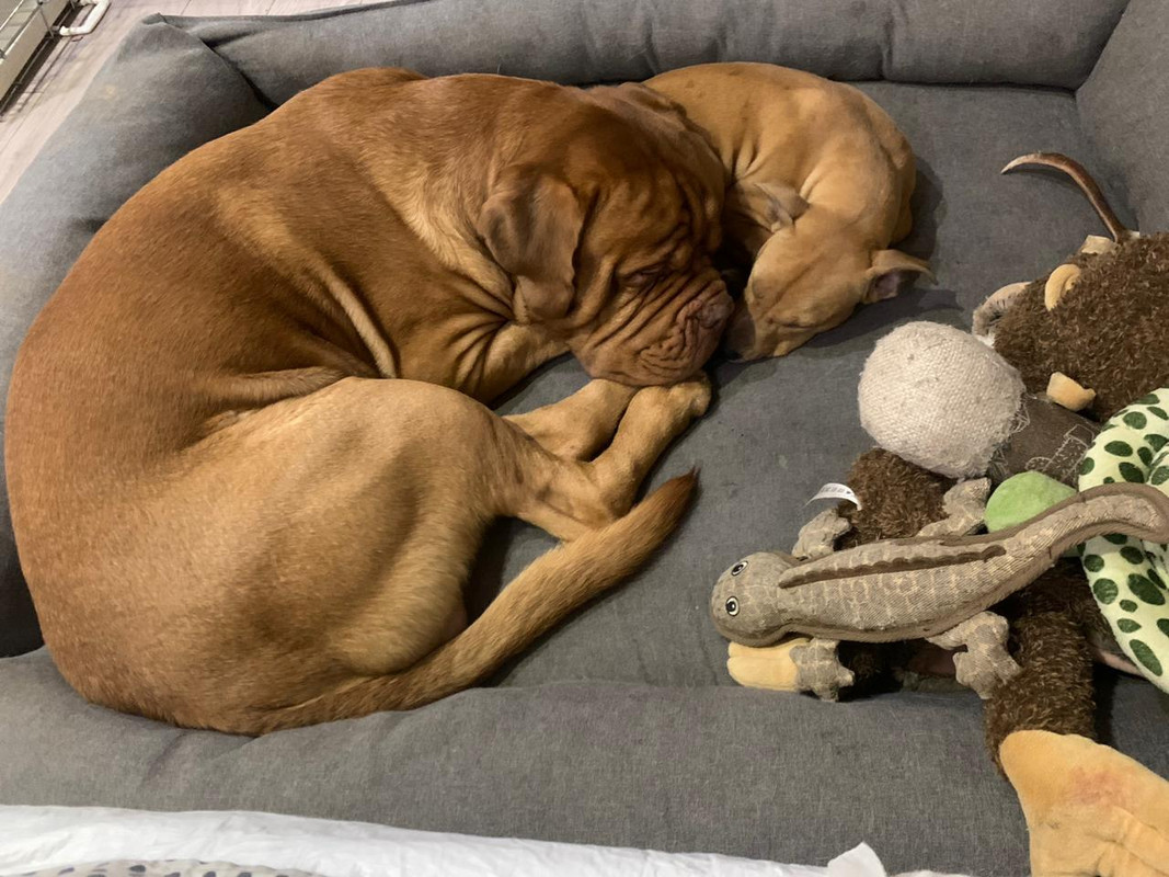 BEBDD8E5-6389-4880-97C1-C0C53F2A8079