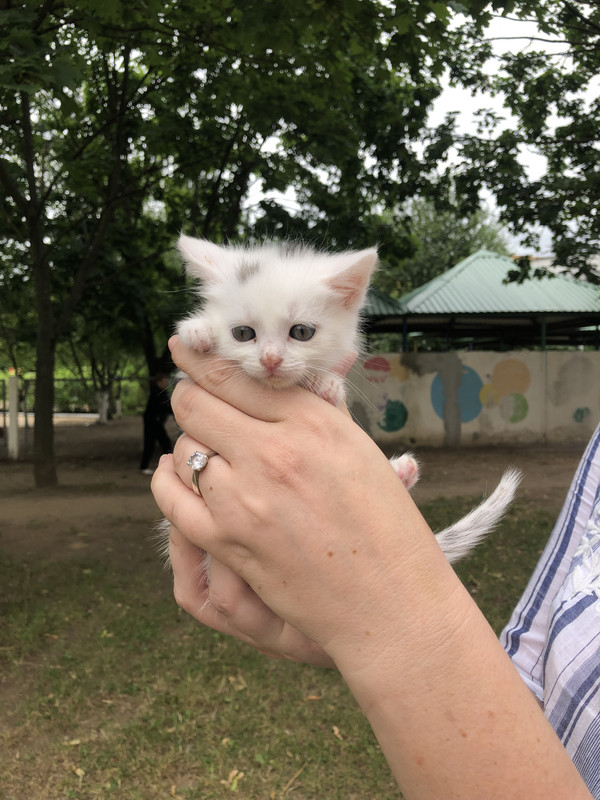 141FC082-3AEE-4893-B77E-DA8CD877E59A