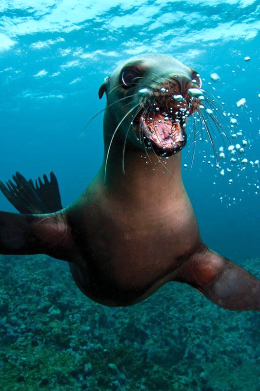 b0e8ba8bfb03feae4f8cdc6be72b4961