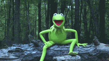 200-1.gif