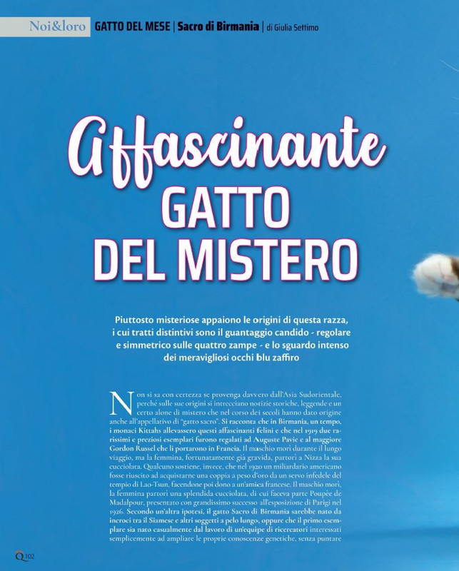 QuattroZampe Ago 2021 (7)