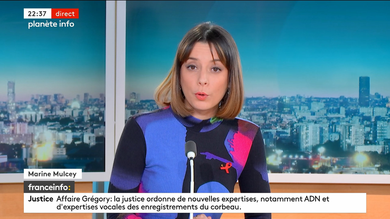 Planète info (Franceinfo)_2024_03_21_20_53_27.ts_snapshot_00.44.53.697