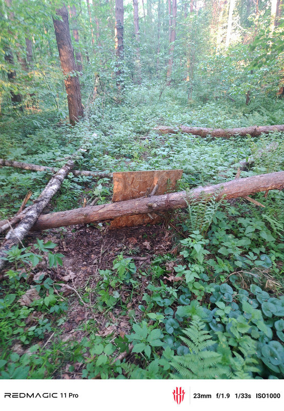 IMG 20260519 192448