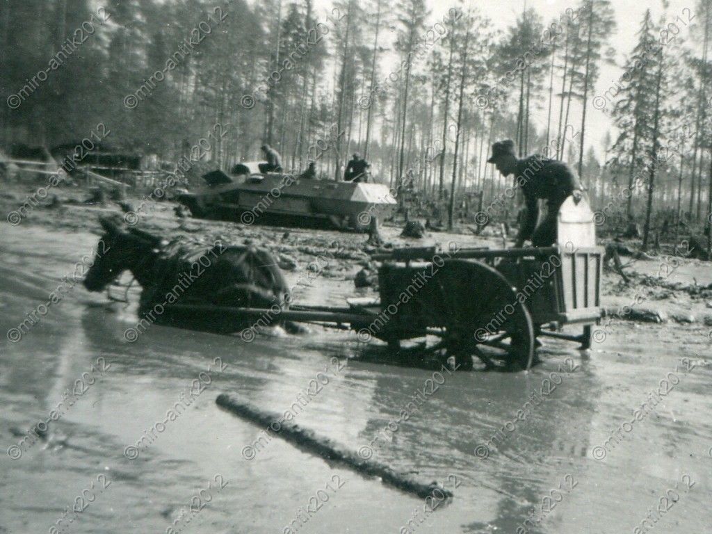 Foto, Pferdegespann während der Schneeschmelze, 