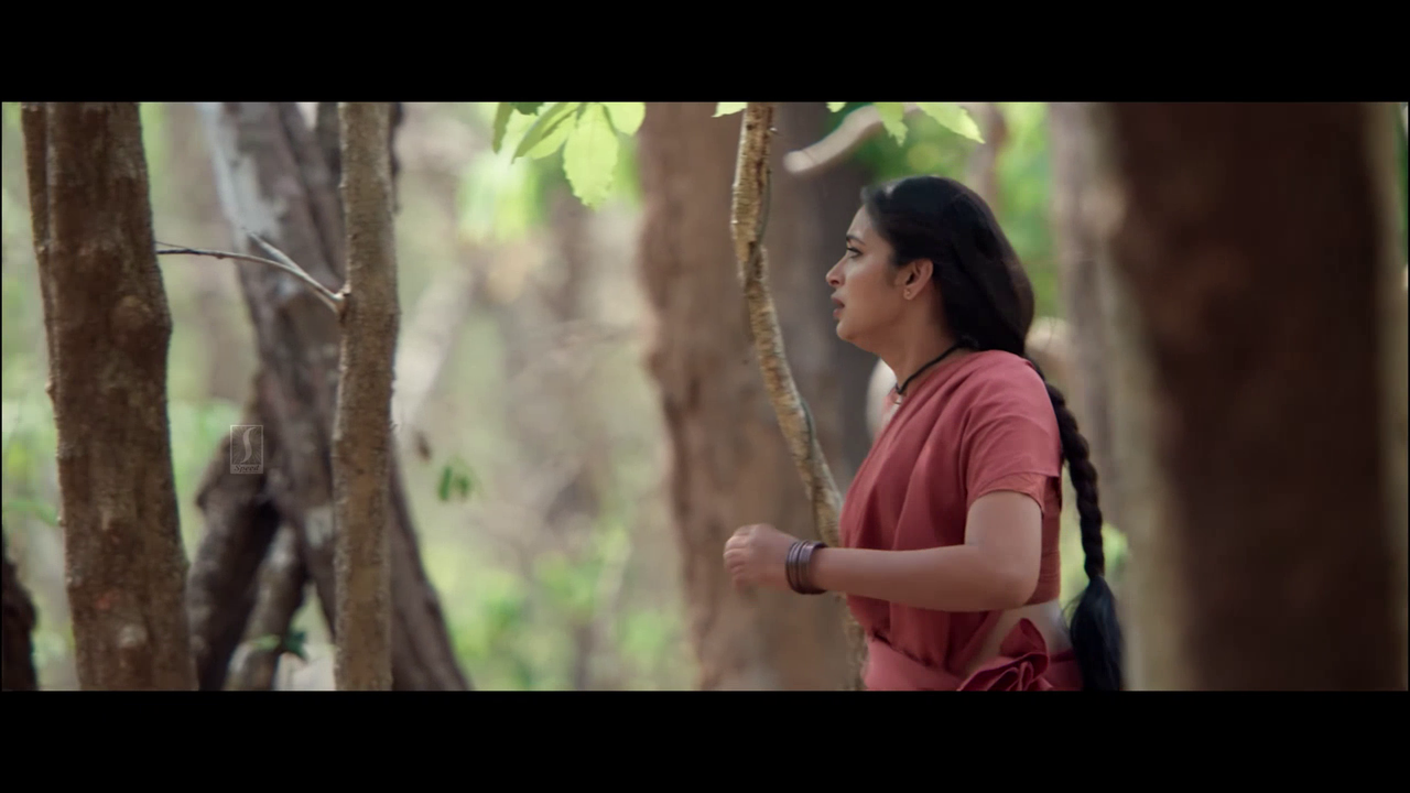 vlcsnap 2025 11 02 13h50m30s570