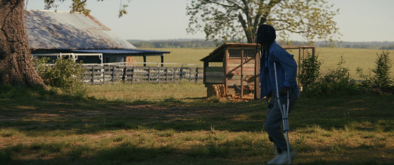 vlcsnap-2025-06-22-11h14m49s987