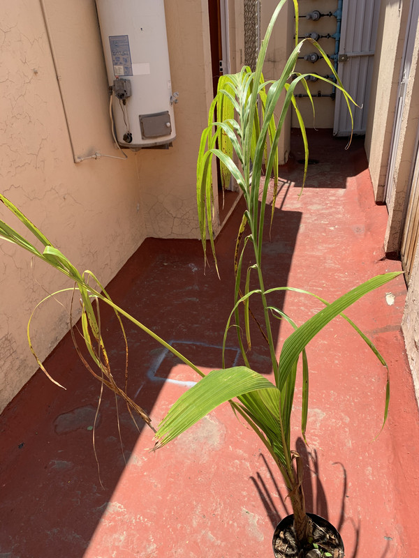 D39BC4AE-0A7B-45A2-A4EF-60E8F9AB6C47