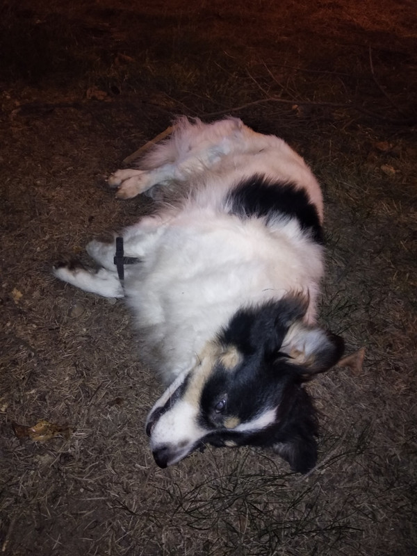 CD3DA00E-B8D4-45A7-80FF-32B79F8A0B52