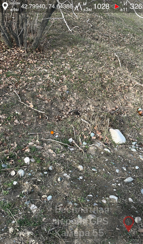 IMG 3229