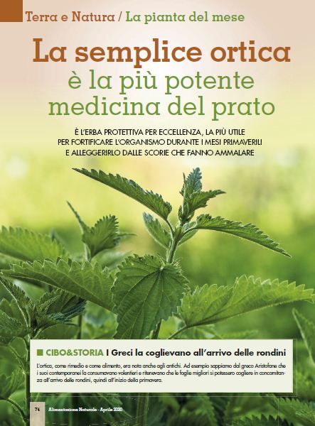 Alim Nat Apr 2020 (7)