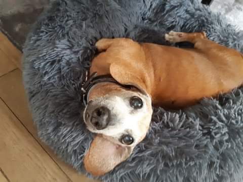 [Image: 833523-C9-6-E6-D-40-B8-8-AFA-795611494611.jpg]