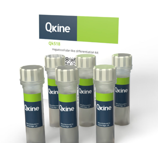 企业微信截图 17671650848840