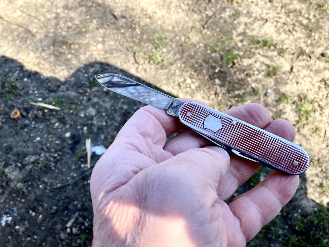 9A54E190-325A-403D-AE54-7E804794E59D