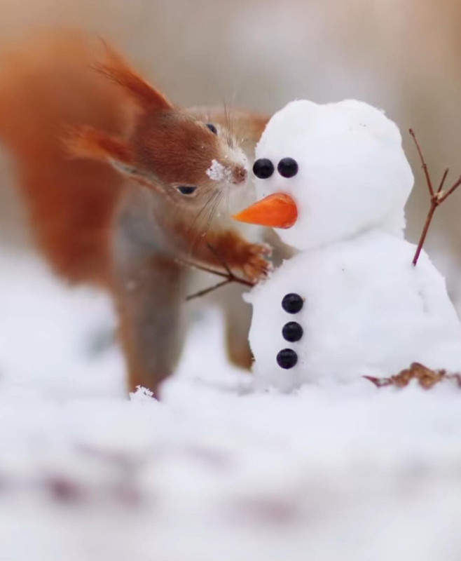 Screenshot_20231124_201932_Instagram