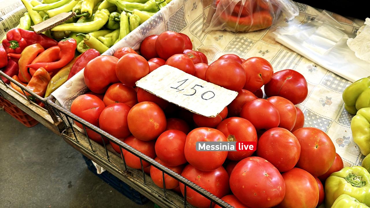 AGORA-14IMG-3905