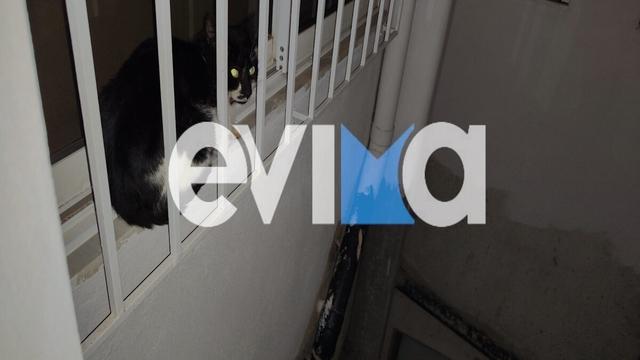 gata2 26022026 1200x675