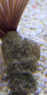 E2883FCB-7256-4E27-B660-29B7966DDDA2