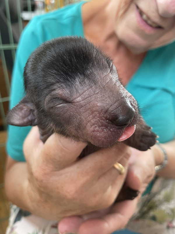 344DC338-0B00-47F7-8BEE-FA1C9AF6F9F7