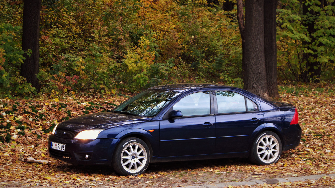 201121 IMG_4901 Абадон - Јесен Јајинци