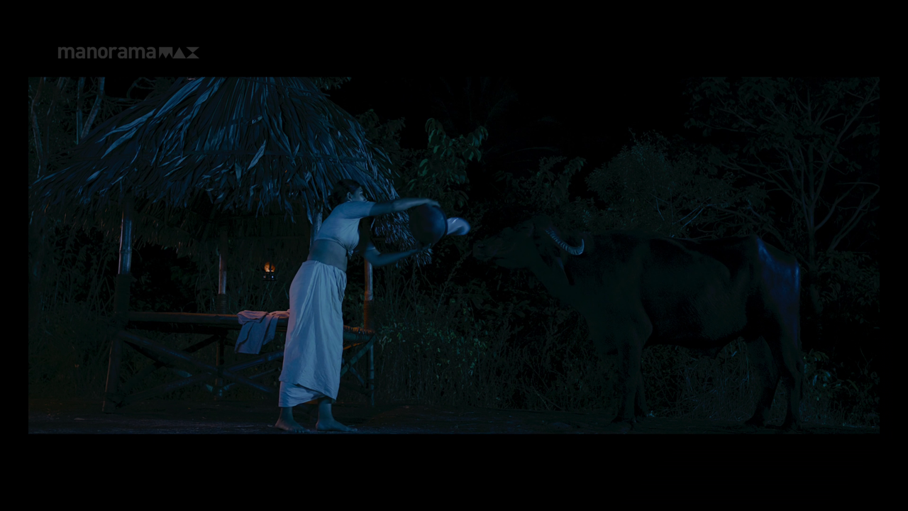 vlcsnap 2026 02 02 13h49m35s496