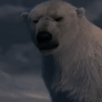 you-animal-av2.gif