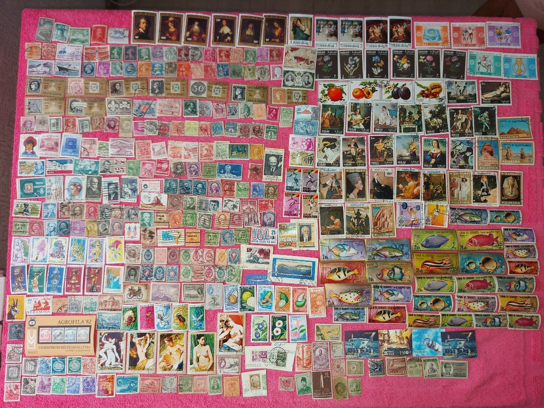 photo_2021-08-07_17-51-37 (2)