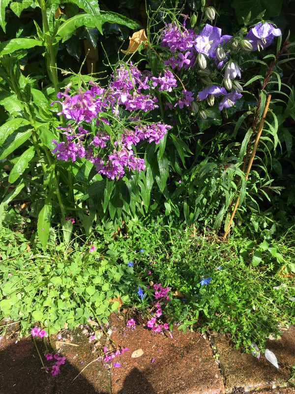 E3DF1266-A74D-4A04-A64D-3CBF75EB2586